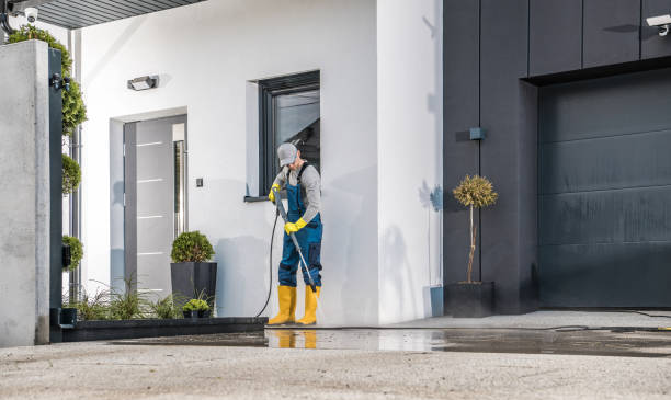 Best Roof Washing  in Rockwell City, IA